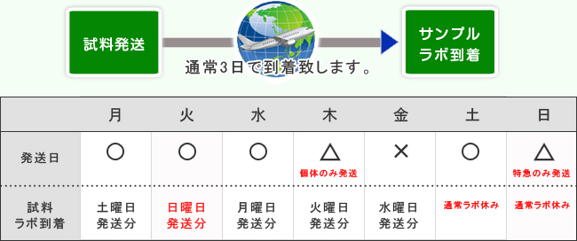 分析レポートの納期についての詳細